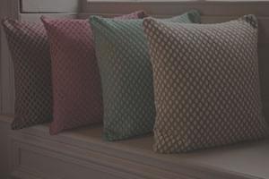2 Free Scatter Cushions