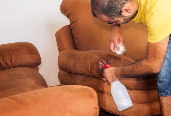 How to Remove Stains from Your Sofa